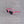 Pink frame Polarised